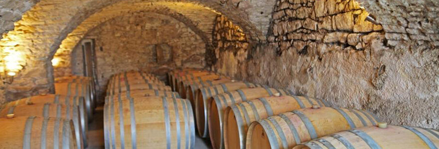 cave à vin